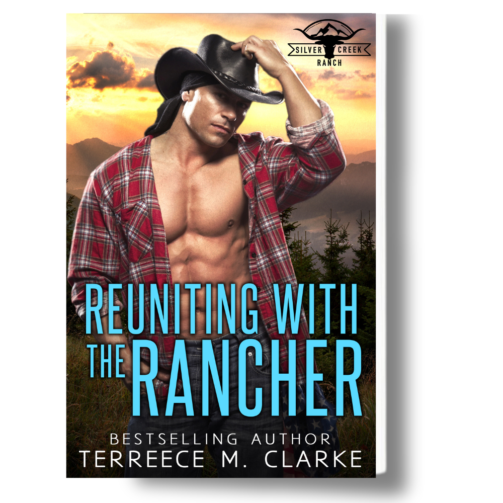 reverse secret baby romance novel by terreece m clarke